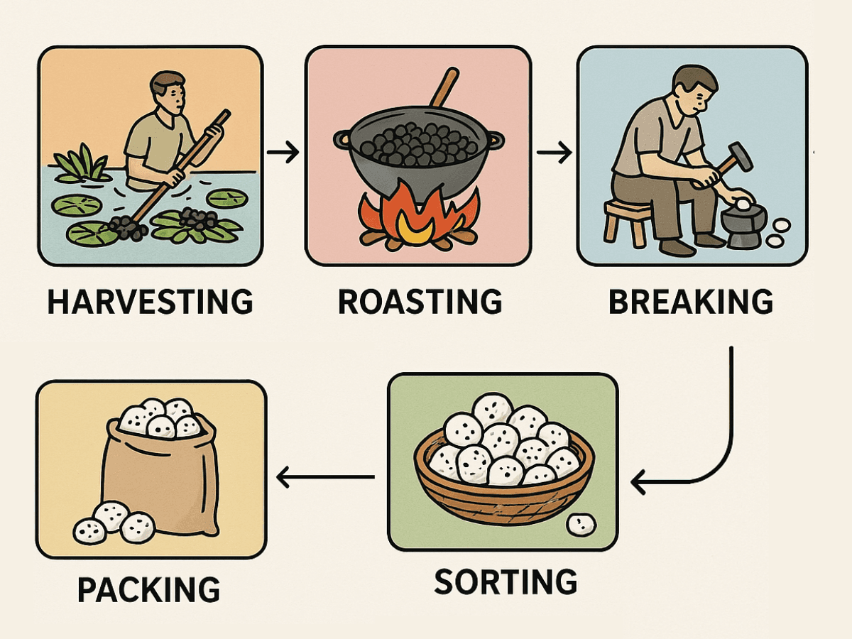 Fox nuts process flow chart